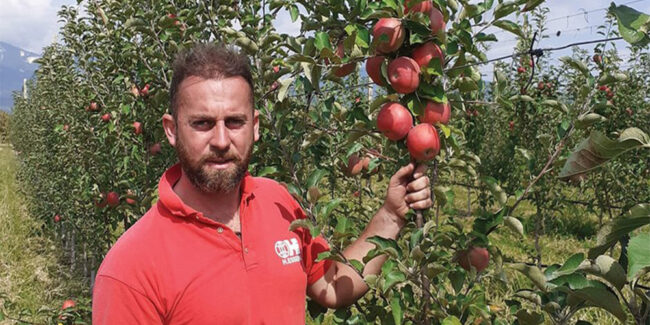 Από 50 στρέμματα μηλιές στην Έδεσσα ξεκινά το όνειρο…