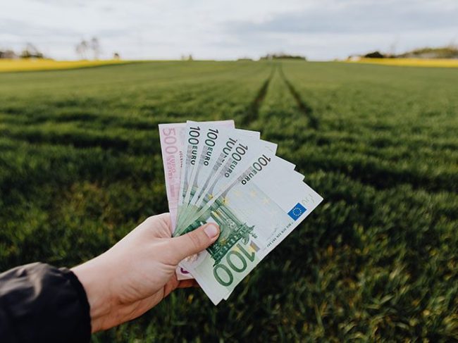 Ποιοι δεν μπορούν να πάρουν αγροτικό δάνειο έως 25.000 ευρώ
