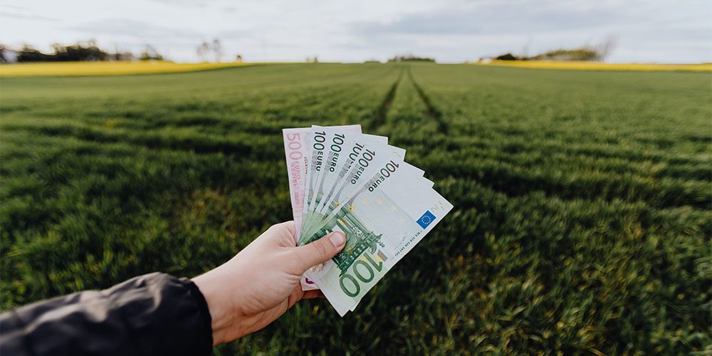 Ποιοι δεν μπορούν να πάρουν αγροτικό δάνειο έως 25.000 ευρώ