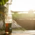 Βρέθηκε ο πρόγονος της Coca-Cola στην Ιταλία
