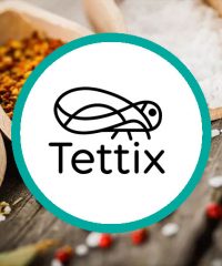 Tettix