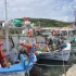 Αλιευτικός στόλος: ανοίγει ο δρόμος για ανανέωση και εκσυγχρονισμό