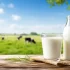 FrieslandCampina: Απλοποιεί τη δομή της στην Ευρώπη