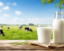 FrieslandCampina: Απλοποιεί τη δομή της στην Ευρώπη