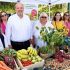 Ημέρα Βιολογικής Παραγωγής της Ευρωπαϊκής Ένωσης