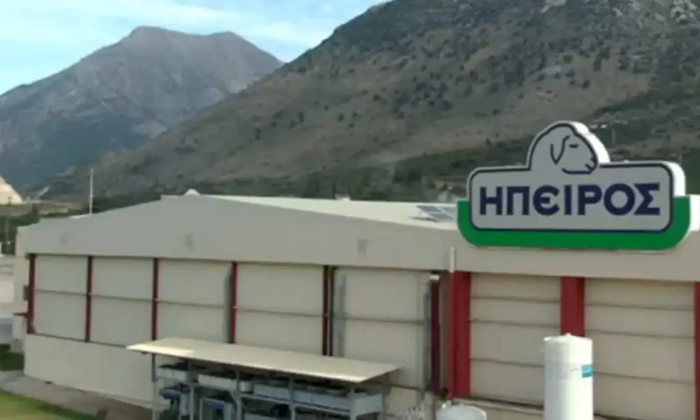 Ήπειρος ΑΕΒΕ: Άνοδος σε πωλήσεις και κερδοφορία το 2025