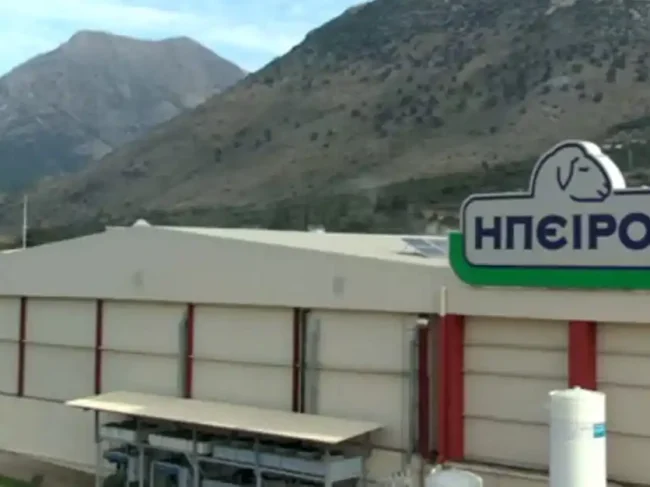 Ήπειρος ΑΕΒΕ: Άνοδος σε πωλήσεις και κερδοφορία το 2025