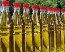 Μαρόκο: Ο νέος “βασιλιάς” του ελαιολάδου στην Ισπανία;