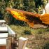 Συστήνεται Επιστημονική Ομάδα Εργασίας για το Ελληνικό Μέλι και τα Μελισσοκομικά Προϊόντα