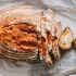 Ψωμί 60 δολαρίων στη Νέα Υόρκη