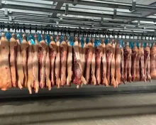 Βρετανία: Σχέδιο για την κατάργηση του CO₂ στη σφαγή χοίρων