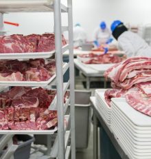 Σκληρότητα και δυσάρεστη οσμή, βασικά προβλήματα του χοιρινού κρέατος