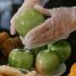 Συγκρότηση και επαναλειτουργία Επιστημονικού Συμβουλίου Ελέγχου Τροφίμων (Ε.Σ.Ε.Τ.)