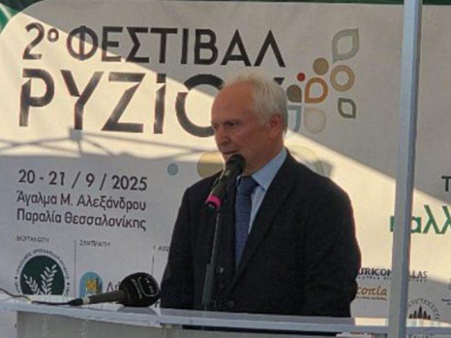 Τέσσερις άξονες πολιτικής για τη βιωσιμότητα του ρυζιού
