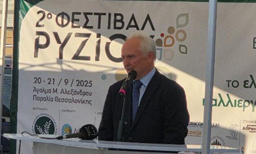 Τέσσερις άξονες πολιτικής για τη βιωσιμότητα του ρυζιού