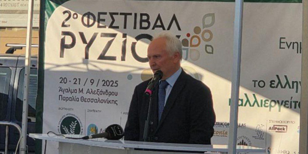 Τέσσερις άξονες πολιτικής για τη βιωσιμότητα του ρυζιού