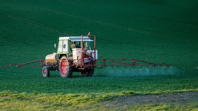 Η EFSA μειώνει το ασφαλές επίπεδο έκθεσης σε trans-λιπαρά
