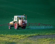Η EFSA μειώνει το ασφαλές επίπεδο έκθεσης σε trans-λιπαρά