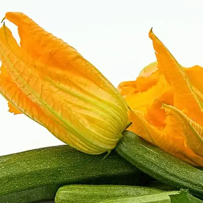 Κολοκυθοανθοί γεμιστοί vegan