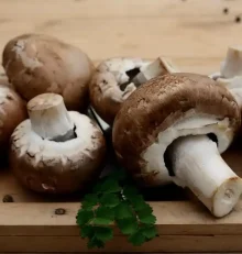 Όλα όσα πρέπει να ξέρετε για τα μανιτάρια