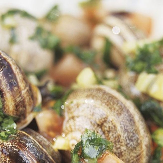 Σαλιγκάρια φρικασέ με αυγολέμονο