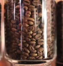 Ποιες είναι οι διαφορές μεταξύ των καφέ Arabica και Robusta;